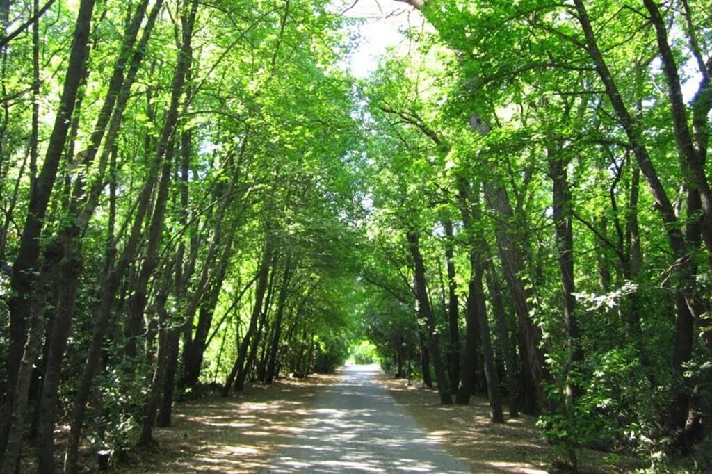 Armutalan Ve Çevresi Hangi İklim Türüne Sahiptir
